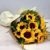 flower-adelaide-sunflower-rose