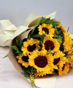 flower-adelaide-sunflower-rose