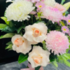 flower-adelaide-rose
