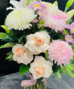 flower-adelaide-rose