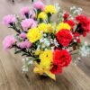 Timeless Spray carnation Bloom