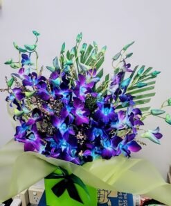 Great Ocean orchid
