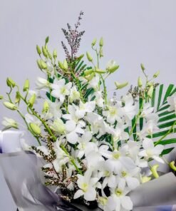 Orchid Grace