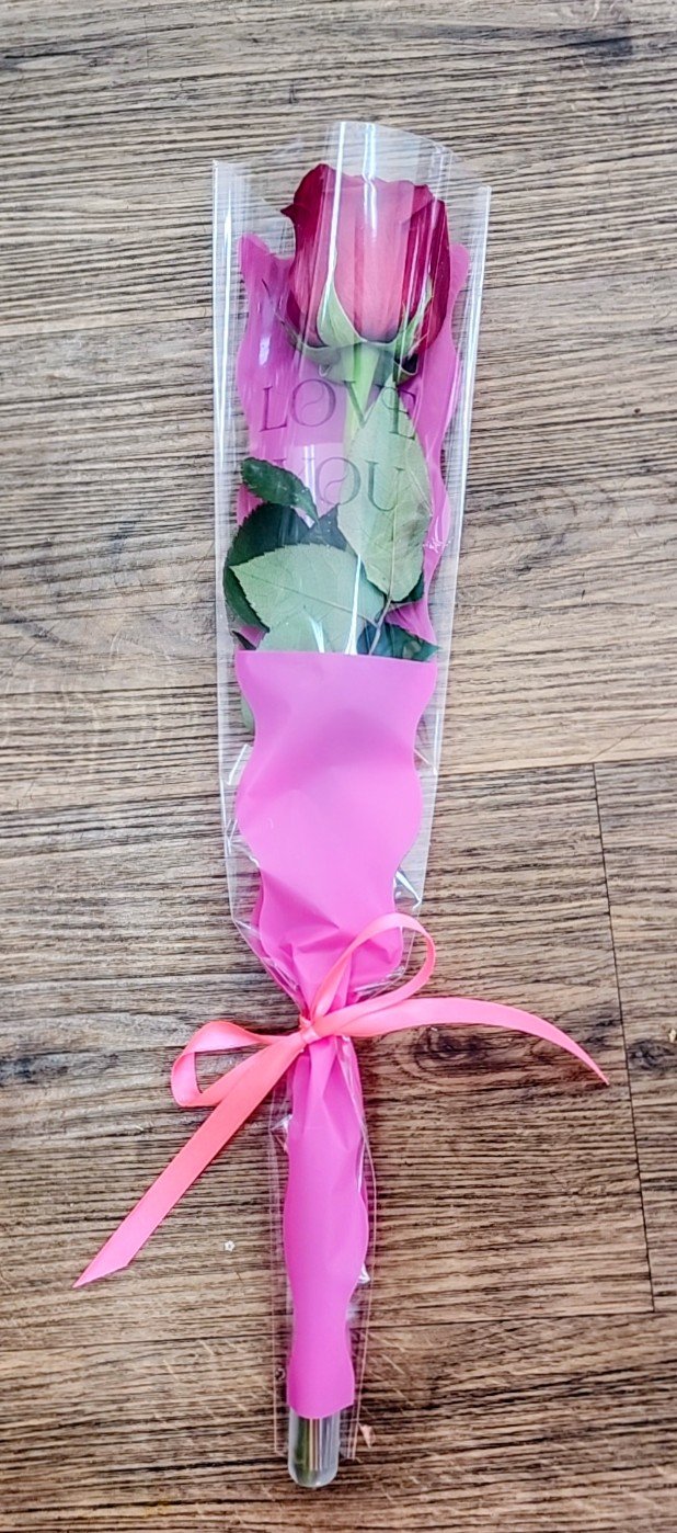 Single rose