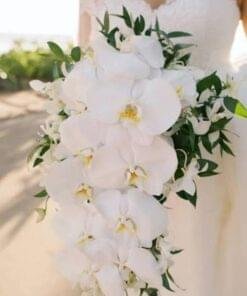 flower-adelaide-buttonholes-corsages-boutonnieres-bride-bouquet-orchid