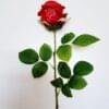 flower-adelaide-buttonholes-corsages-boutonnieres