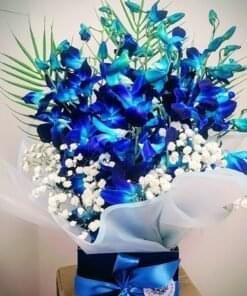 Ocean Grace Orchids Arrangement