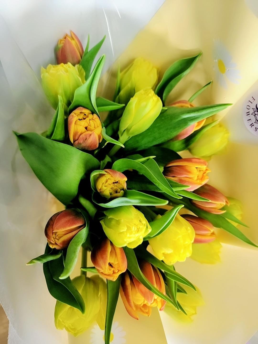 Bright Tulip bouquet
