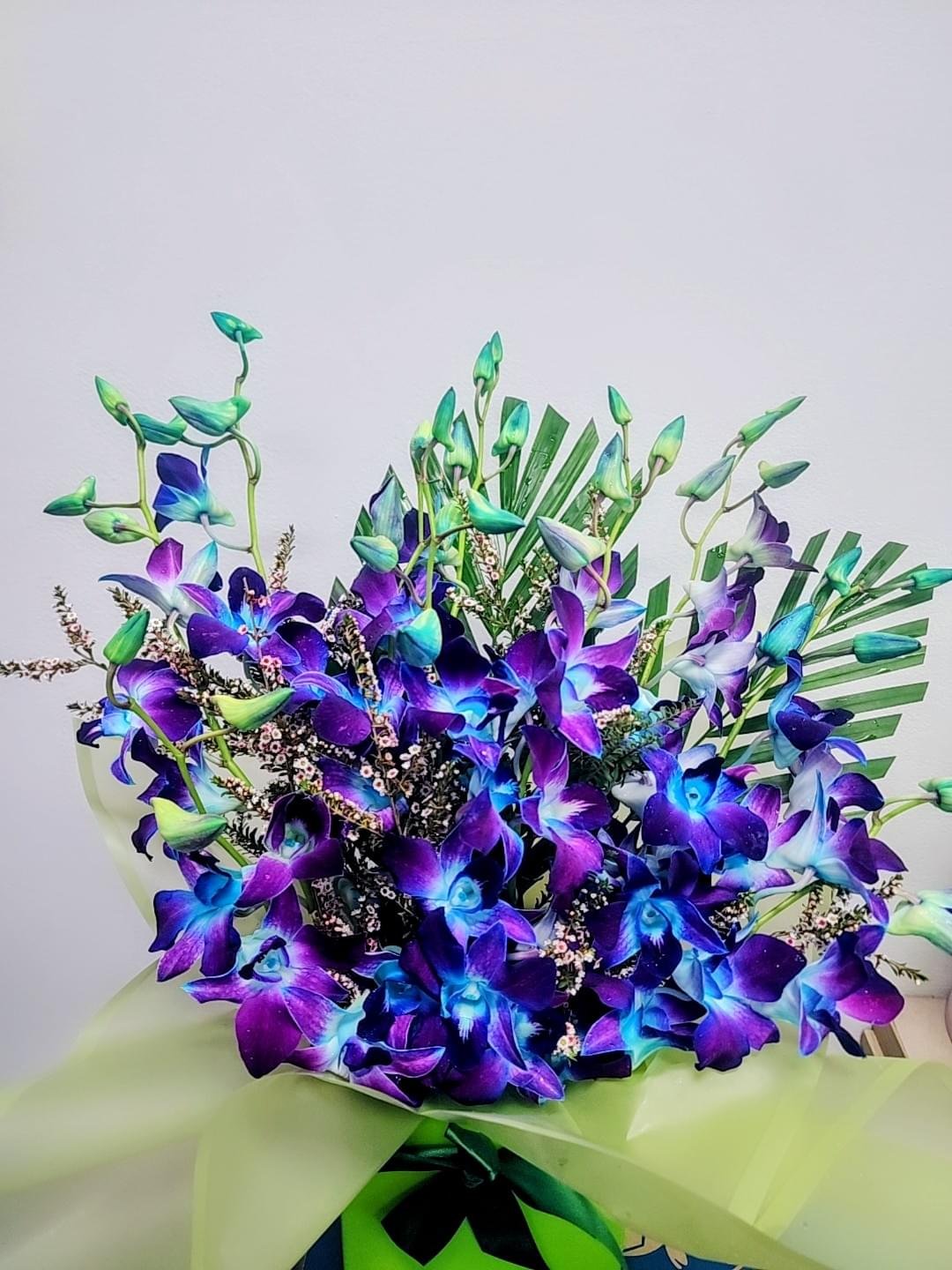 Great Ocean orchid - Image 2
